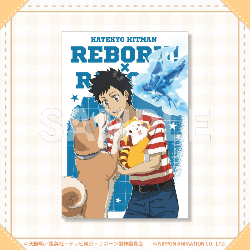 ポストカード（山本×ラスカル）